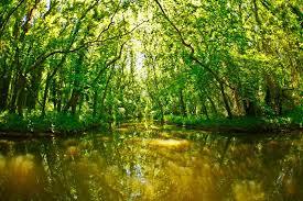 Naturschutzgebiet Baltata